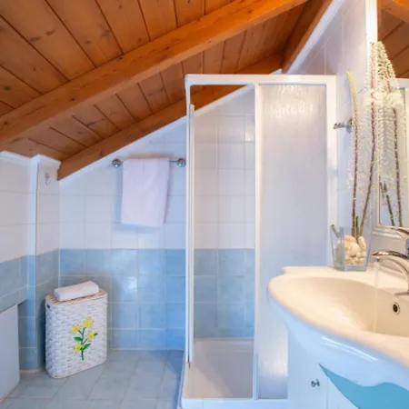Carisma - Natural Style For 14 People Sivota